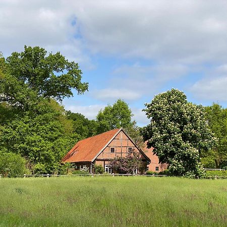 Ferienhaeuser Weitblick Gilten Екстер'єр фото